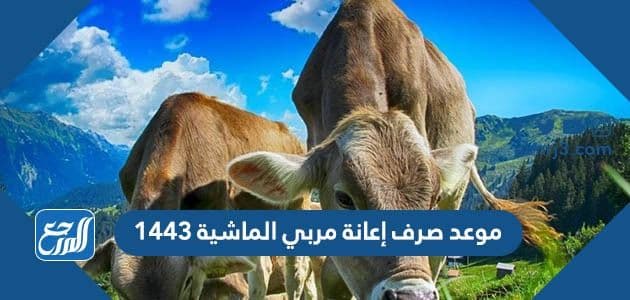موعد صرف إعانة مربي الماشية 1443