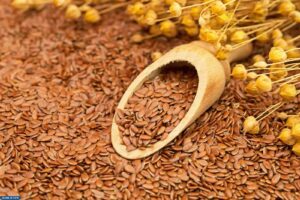 نبات السيليوم