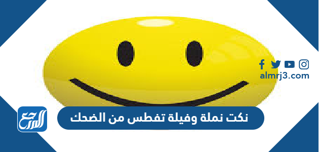 نكت نملة وفيلة تفطس من الضحك
