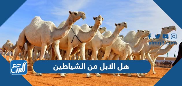 هل الابل من الشياطين