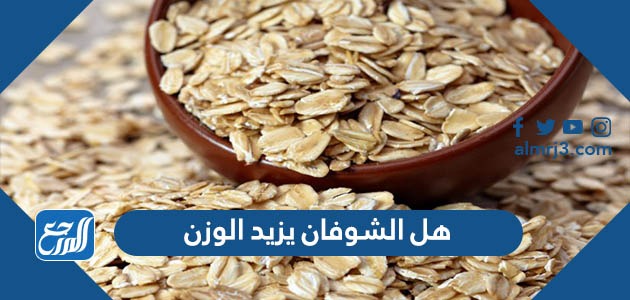 هل الشوفان يزيد الوزن