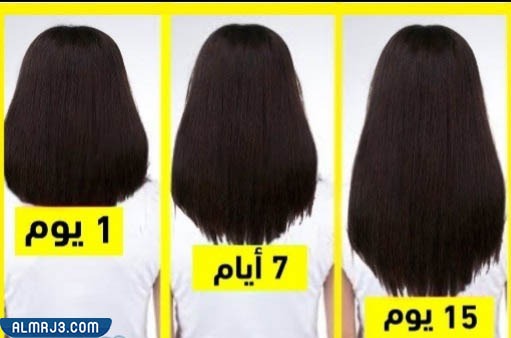 هل بديل الزيت يطول الشعر؟