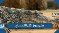 هل يجوز اكل التمساح