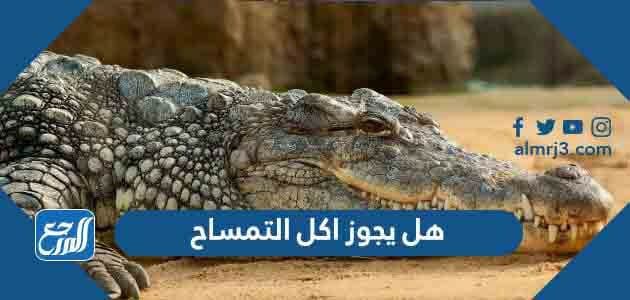 هل يجوز اكل التمساح
