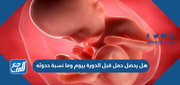هل يحصل حمل قبل الدورة بيوم وما نسبة حدوثه