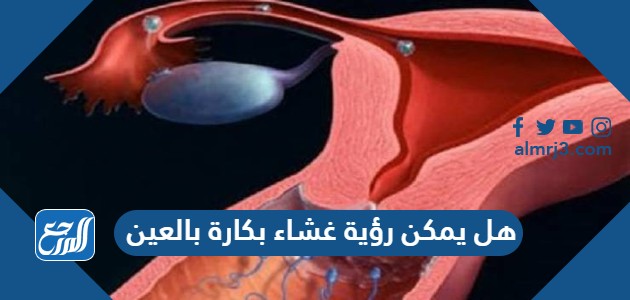 هل يمكن رؤية غشاء بكارة بالعين