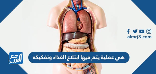 هي عملية يتم فيها ابتلاع الغذاء وتفكيكه