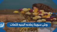 وش سوينا زعلانه البنيه كلمات