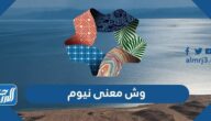 وش معنى نيوم