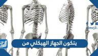 يتكون الجهاز الهيكلي من