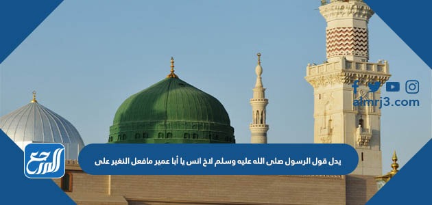 يدل قول الرسول صلى الله عليه وسلم لأخ أنس يا أبا عمير ما فعل النغير على