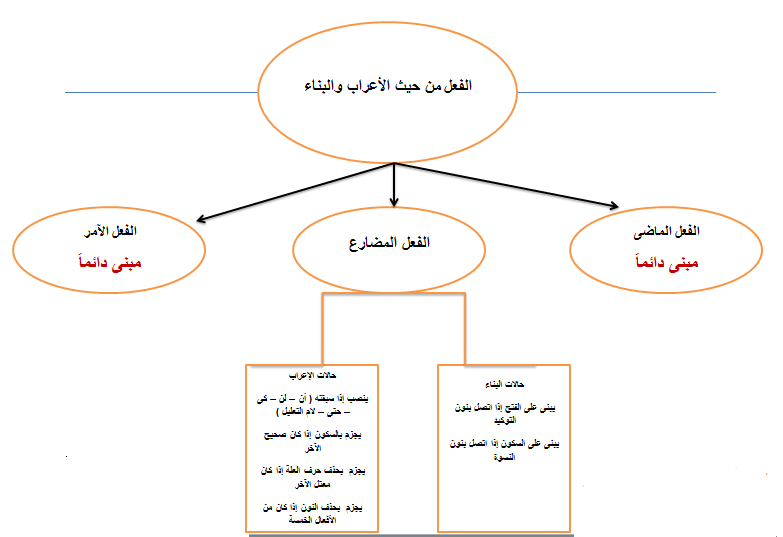الافعال في اللغة العربية
