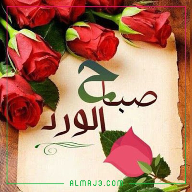 The most beautiful pictures of good morning, roses, jasmine, love