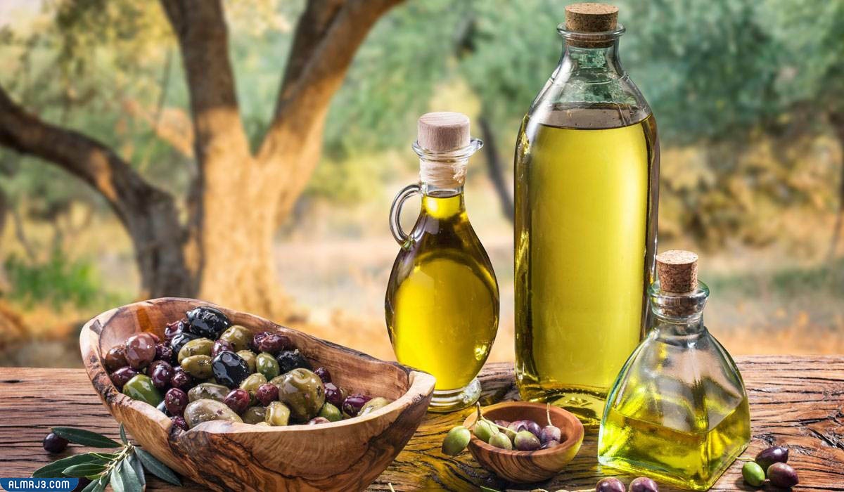 olive tree and olive oil