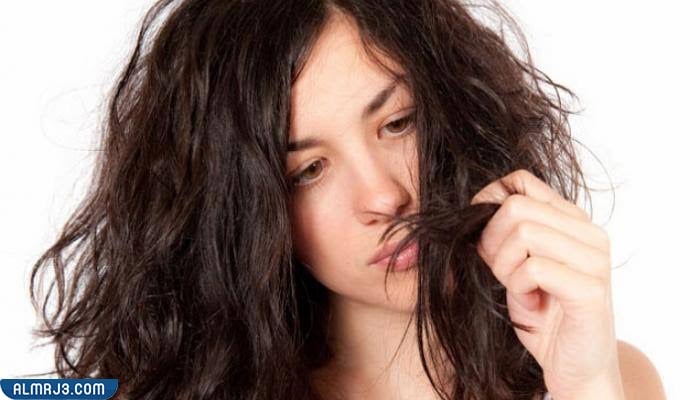 What are the symptoms of heat damage to hair?