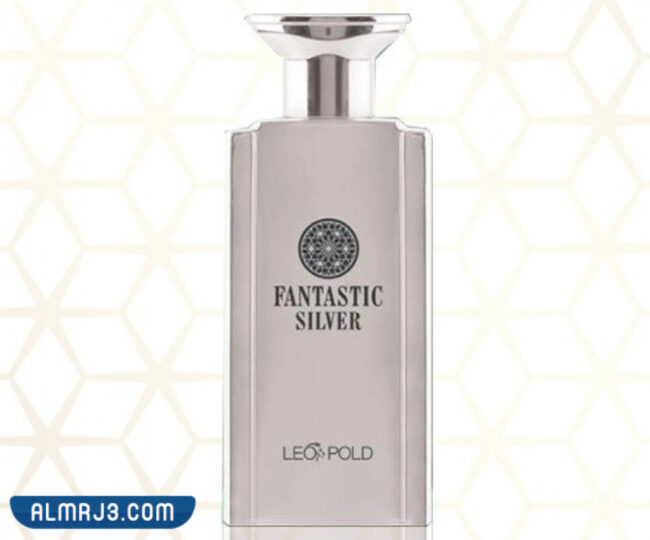 Fantastic Silver perfume by Hind Al-Qahtani