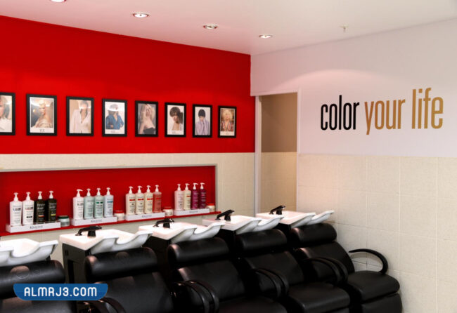 مشغل ڤوج للشعر والتجميل