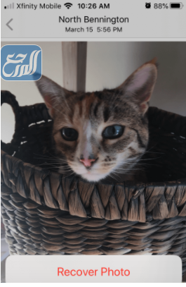 طريقة استعادة الصور المحذوفة من الايفون