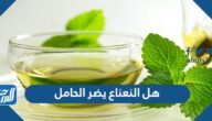 هل النعناع يضر الحامل