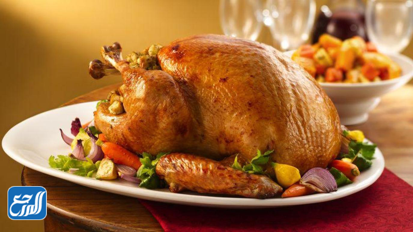 الديك الرومي الأمريكي