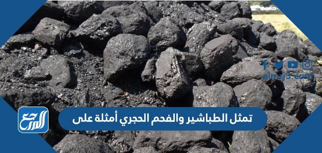 تمثل الطباشير والفحم الحجري أمثلة على