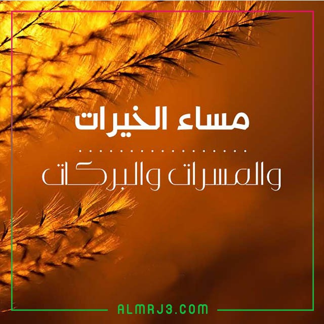 صور مساء الخير جميلة