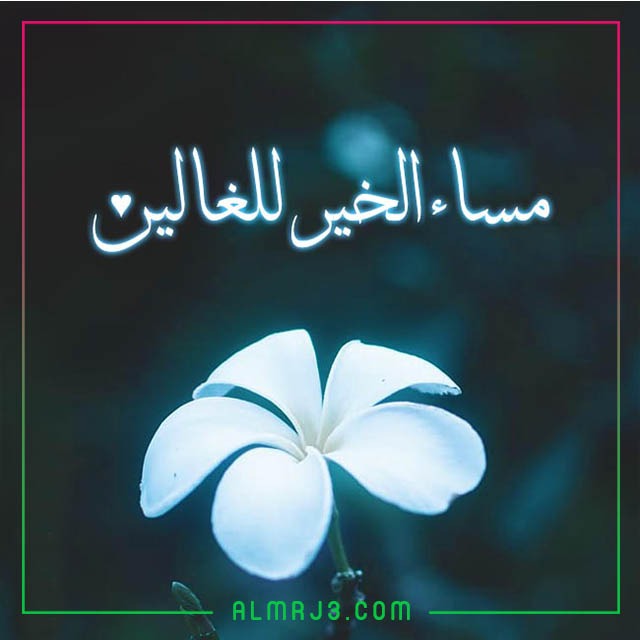 صور مساء الخير جميلة