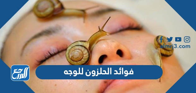 فوائد الحلزون للوجه
