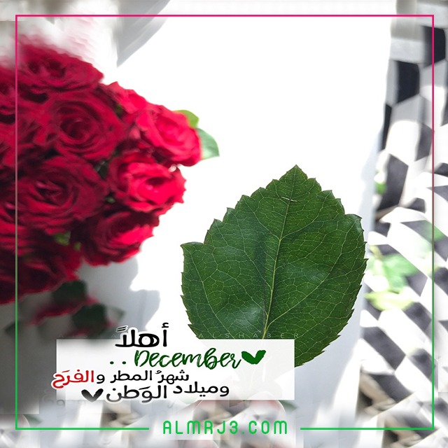 اجمل الصور عن اهلا ديسمبر