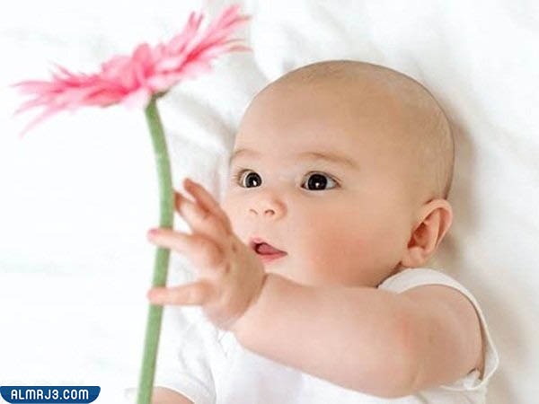 أجمل صور مواليد