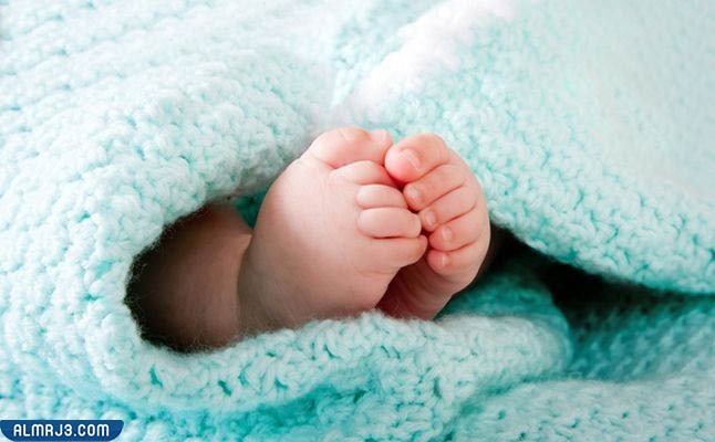 أجمل صور مواليد