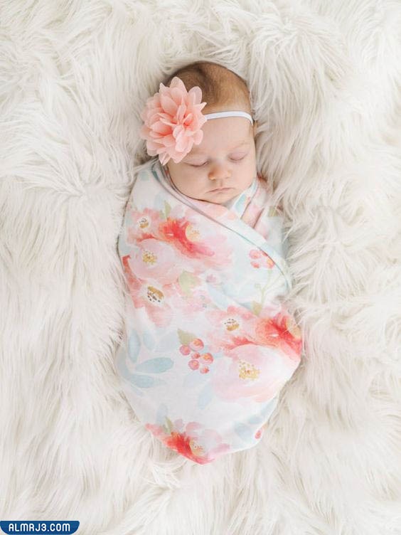 أجمل صور مواليد