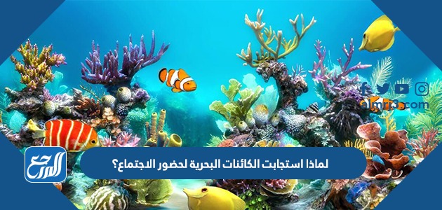 لماذا استجابت الكائنات البحرية لحضور الاجتماع ؟