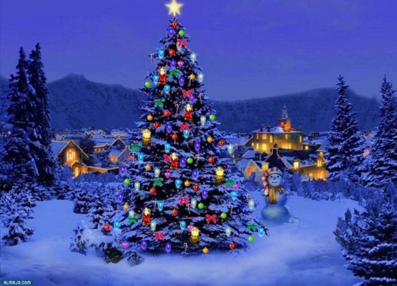 صور شجرة عيد الميلاد