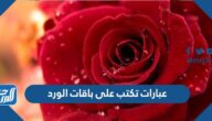 عبارات تكتب على باقات الورد 2025