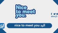 الرد nice to meet you