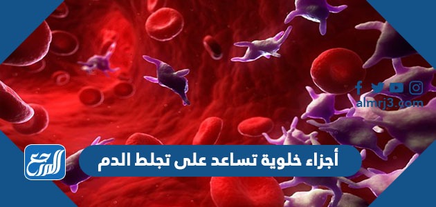 أجزاء خلوية تساعد على تجلط الدم