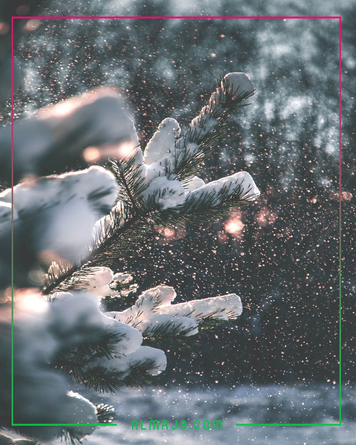 أجمل الصور عن الشتاء للحبيب