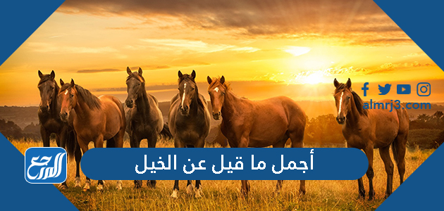 أجمل ما قيل عن الخيل