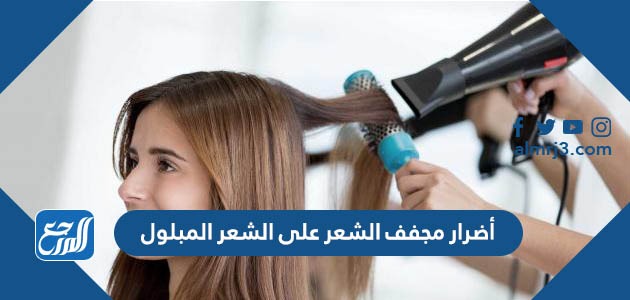أضرار مجفف الشعر على الشعر المبلول