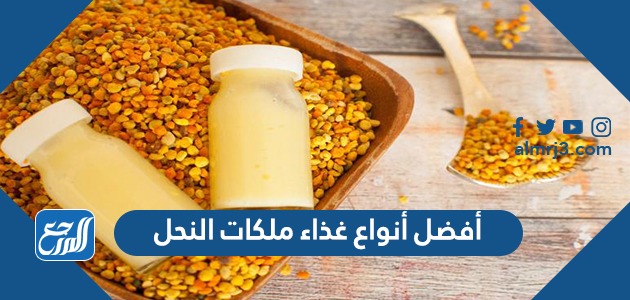 أفضل أنواع غذاء ملكات النحل