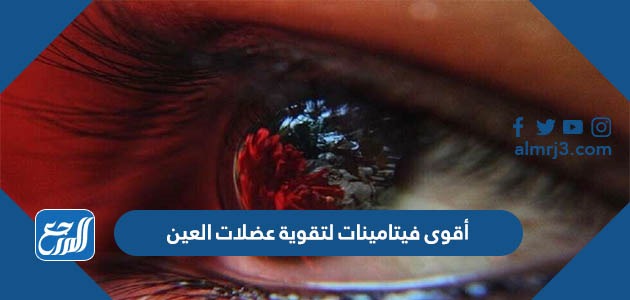 أقوى فيتامينات لتقوية عضلات العين
