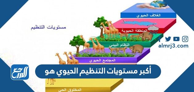 أكبر مستويات التنظيم الحيوي هو