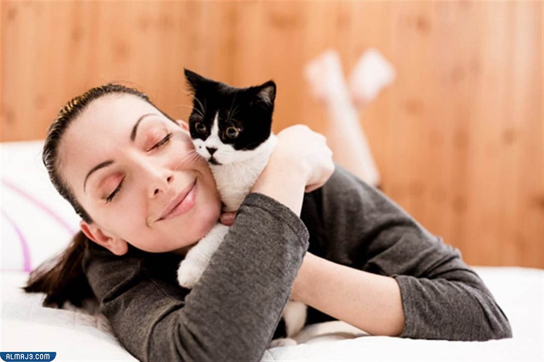 أمراض تنقلها القطط