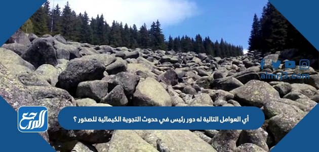 أي العوامل التالية له دور رئيس في حدوث التجوية الكيمائية للصخور ؟