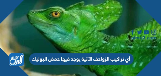 أي تراكيب الزواحف الآتية يوجد فيها حمض البوليك