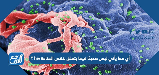 أي مما يأتي ليس صحيحًا فيما يتعلق بنقص المناعة hiv ؟