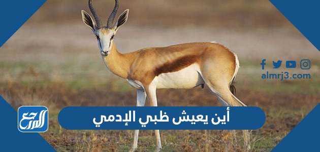 أين يعيش ظبي الإدمي