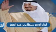 ابناء الامير سلطان بن عبد العزيز