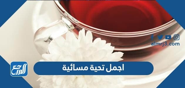 اجمل تحية مسائية